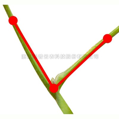lewin乐玩官网-相信品牌力量