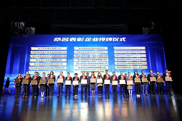 喜报！lewin乐玩官网荣获“凸起贡献企业”、“产业赛路领跑企业”称号
