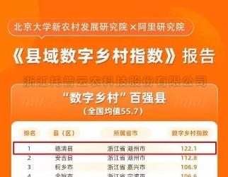?数字村落指数全国百强县域榜单颁布，位居榜单前十的县域都做了啥？