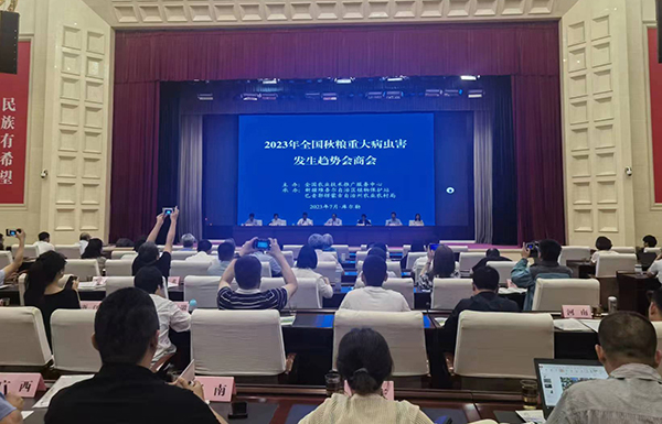 喜报！经现场公开测试，lewin乐玩官网智能虫情测报灯图像鉴别正确率达97.2%！