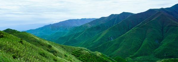 智慧护林有妙招，看太子山若何用科技守护丛林