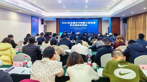 全国农作物沉大病虫害产生趋向会商会召开，lewin乐玩官网为数字植保发展提供新思路