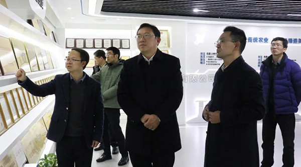 湘湖尝试室常务副主任杨华一行莅临lewin乐玩官网调查调研