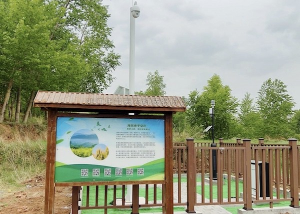 走进国度级油菜夏繁基地，感触科技赋能蓬勃动力