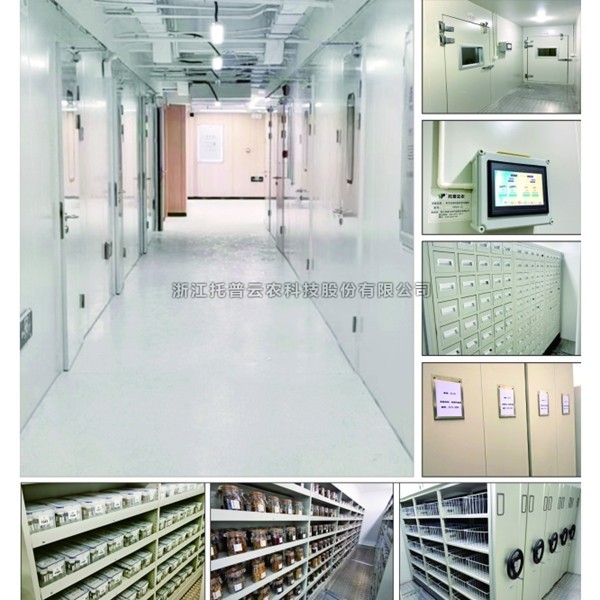 林木种质资源库建设规划（附案例）