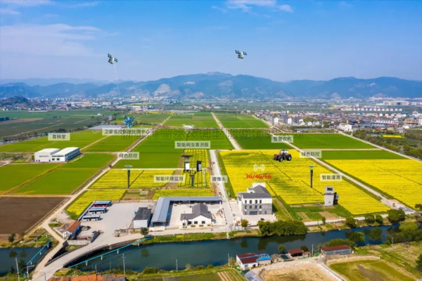 首提“农业新质出产力”，2025年中央一号文件在智慧农业领域传递了哪些沉要信号？