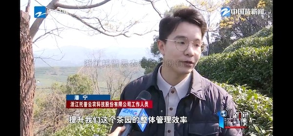 春茶开采正其时！揭秘lewin乐玩官网若何用科技“造”出一杯数字好茶