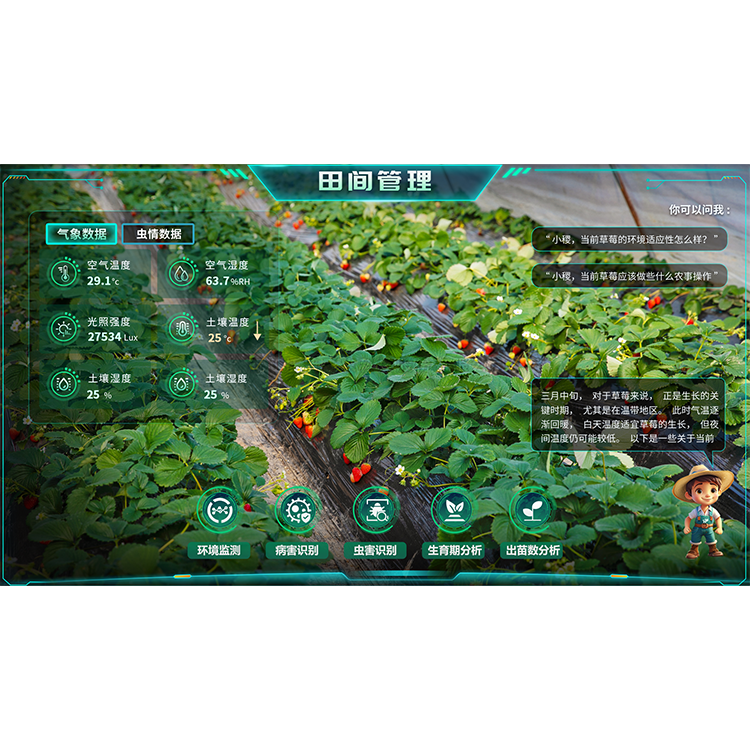 lewin乐玩官网-相信品牌力量