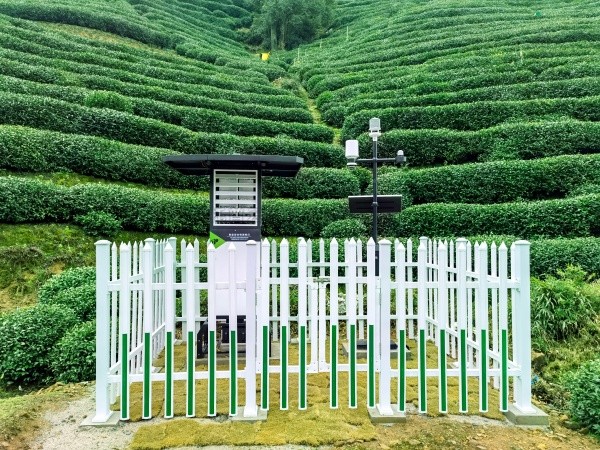 lewin乐玩官网颁布“问稷茶数”智能体，赋能茶产业数智升级