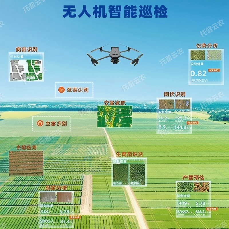 lewin乐玩官网-相信品牌力量