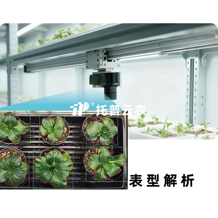 lewin乐玩官网-相信品牌力量