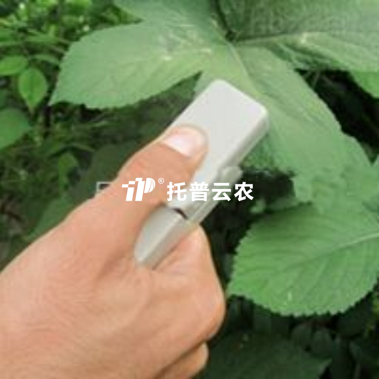 植物叶片温差丈量仪 TPW-A