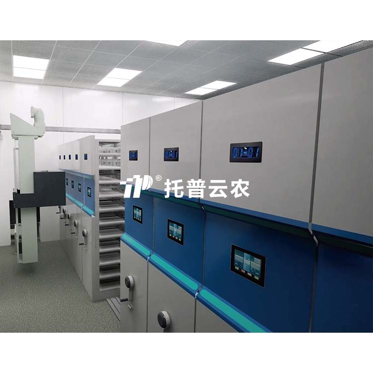 lewin乐玩官网-相信品牌力量