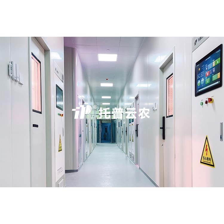 lewin乐玩官网-相信品牌力量
