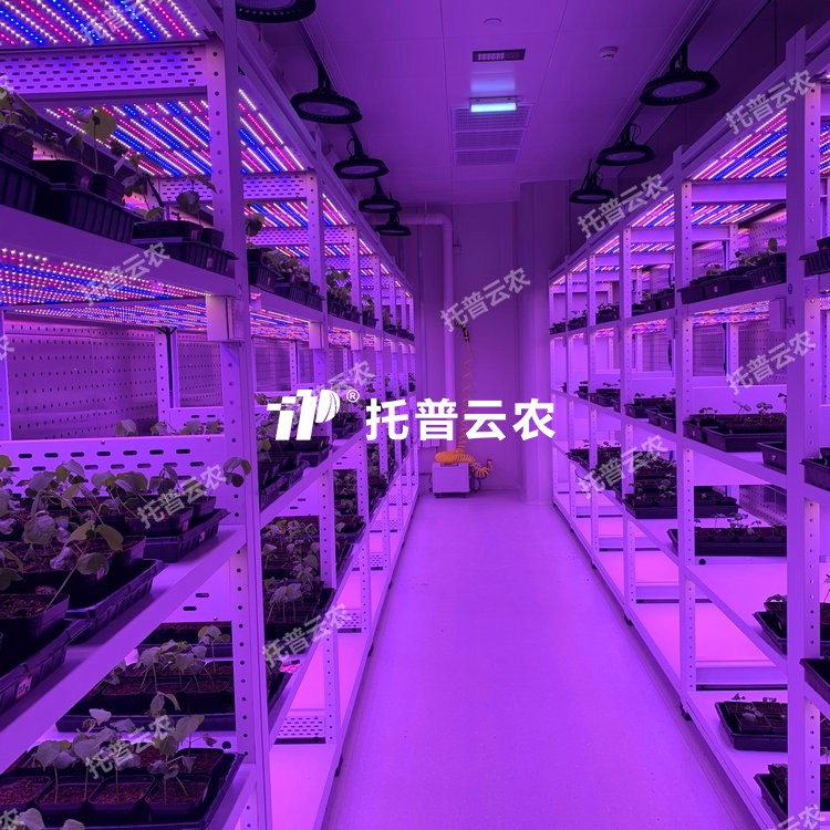造就架型人为气象室介绍|造就架型人为气象室主题亮点有哪些？