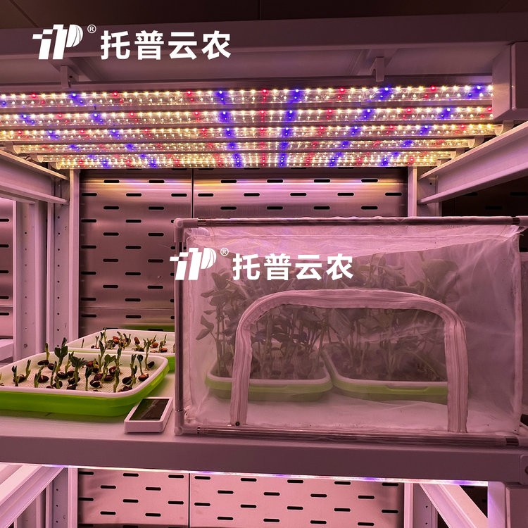 顶置光源人为气象室是什么？