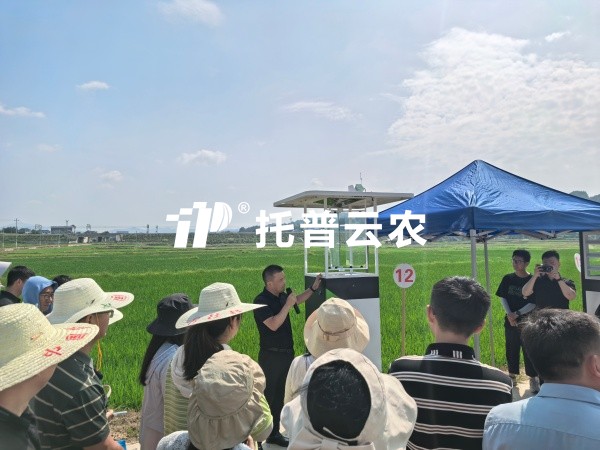 从“监测”到“智庞妆！lewin乐玩官网智能（AI)虫情测报灯沉磅颁布，智慧植保迈入“智庞妆时期