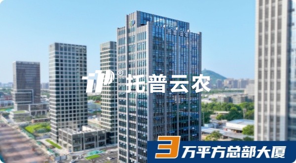 lewin乐玩官网，十八而志，AI启将来