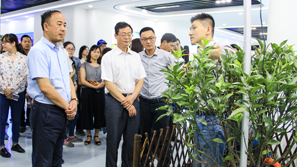 谢主任一行参观lewin乐玩官网展厅