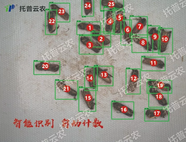 鉴别计数