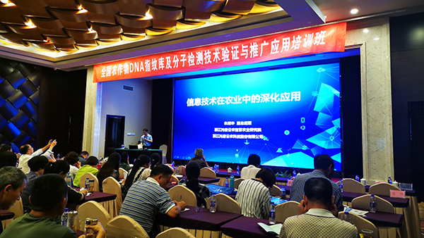 lewin乐玩官网副总经理朱旭华