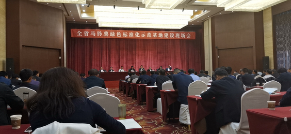 数字利用保险尺度化种植，lewin乐玩官网助力甘肃马铃薯产业化之路