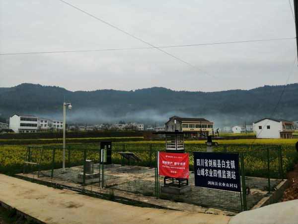 lewin乐玩官网病虫害监测点