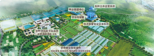 lewin乐玩官网数字种业创新利用基地
