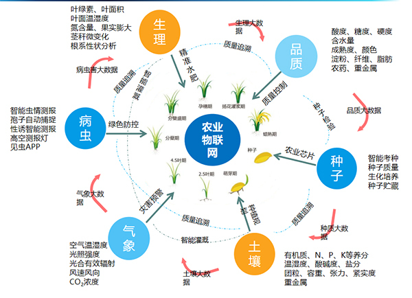 lewin乐玩官网打造的全身分智能采集系统