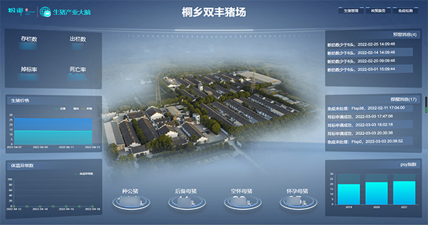 lewin乐玩官网打造的“生猪精密智管”社会化服务利用