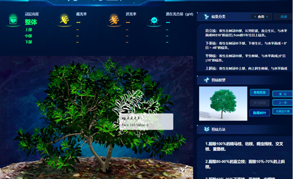 “云”上种颗杨梅树，田舍照着养杨梅