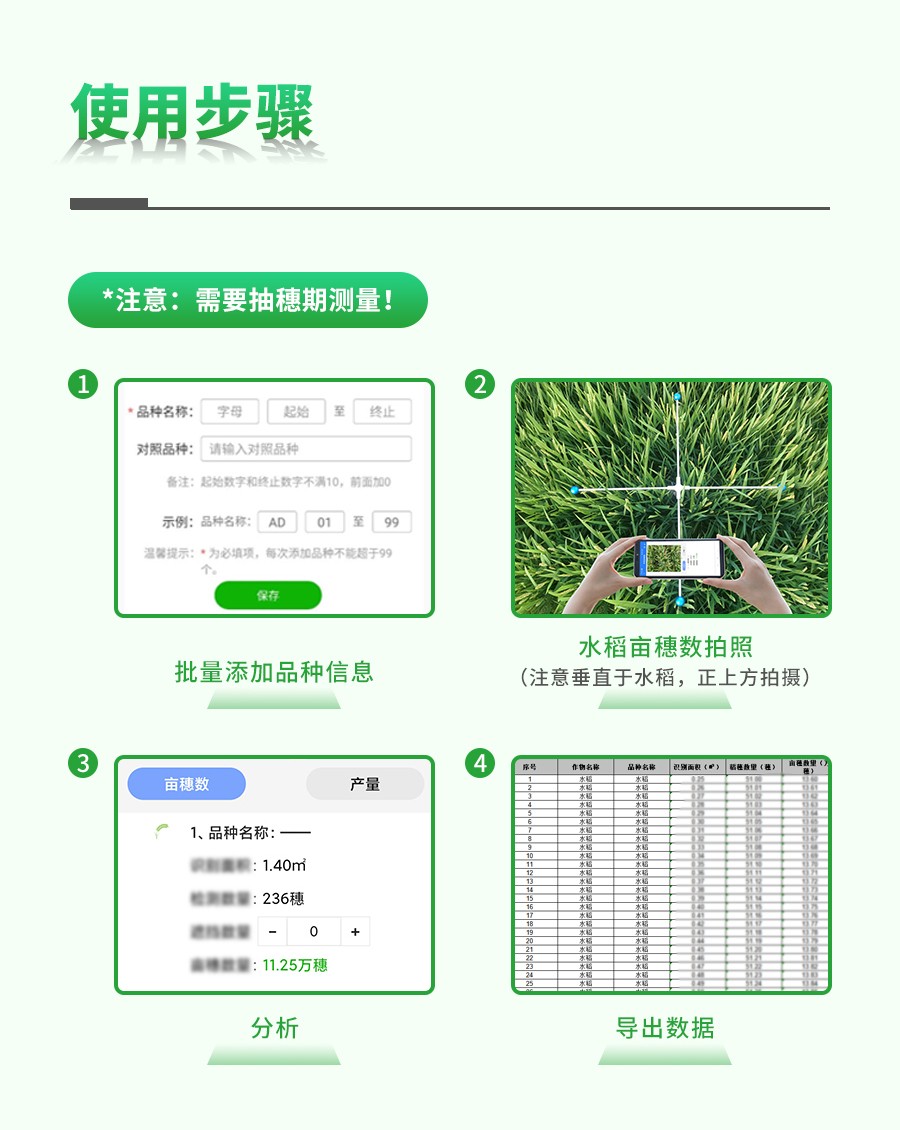 水稻亩穗数丈量系统