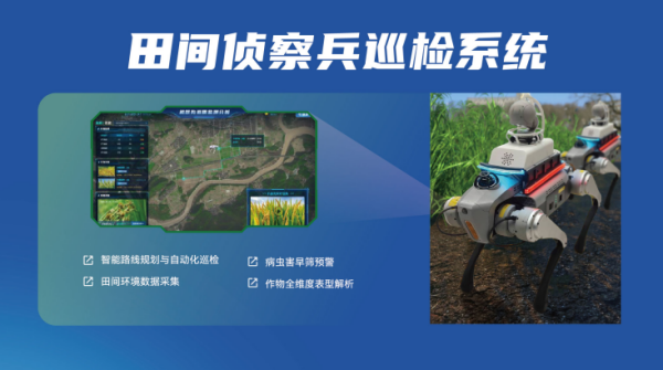 图片8_副本.png