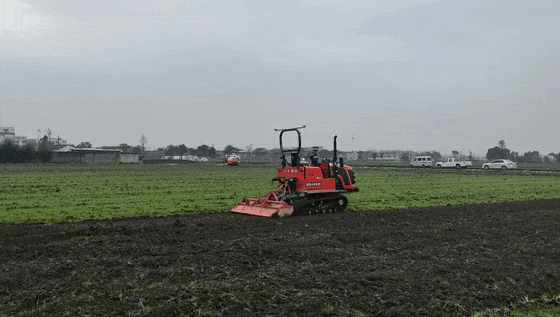 图片4.gif