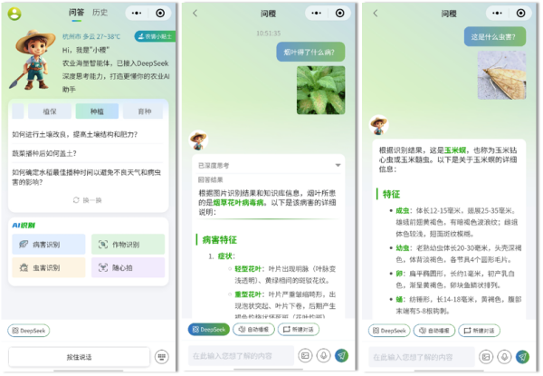 图片3_副本.png