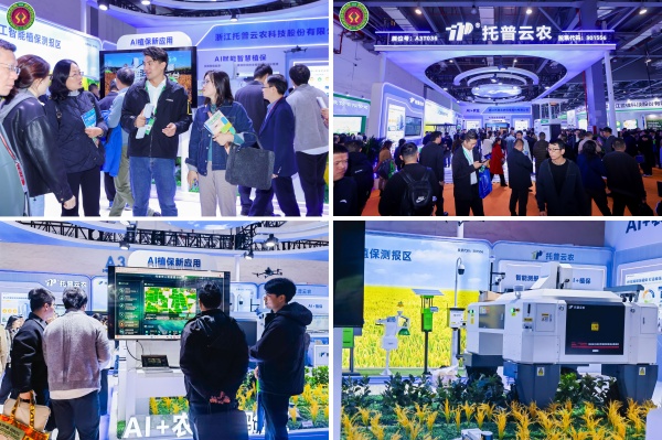 图片09_副本.jpg