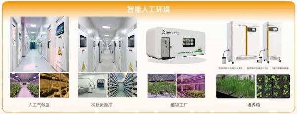 图片3_副本.png