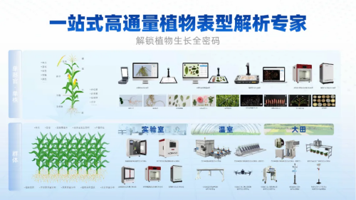 图片5_副本.png
